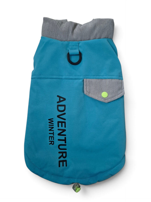Hippe winterjas voor je teckel