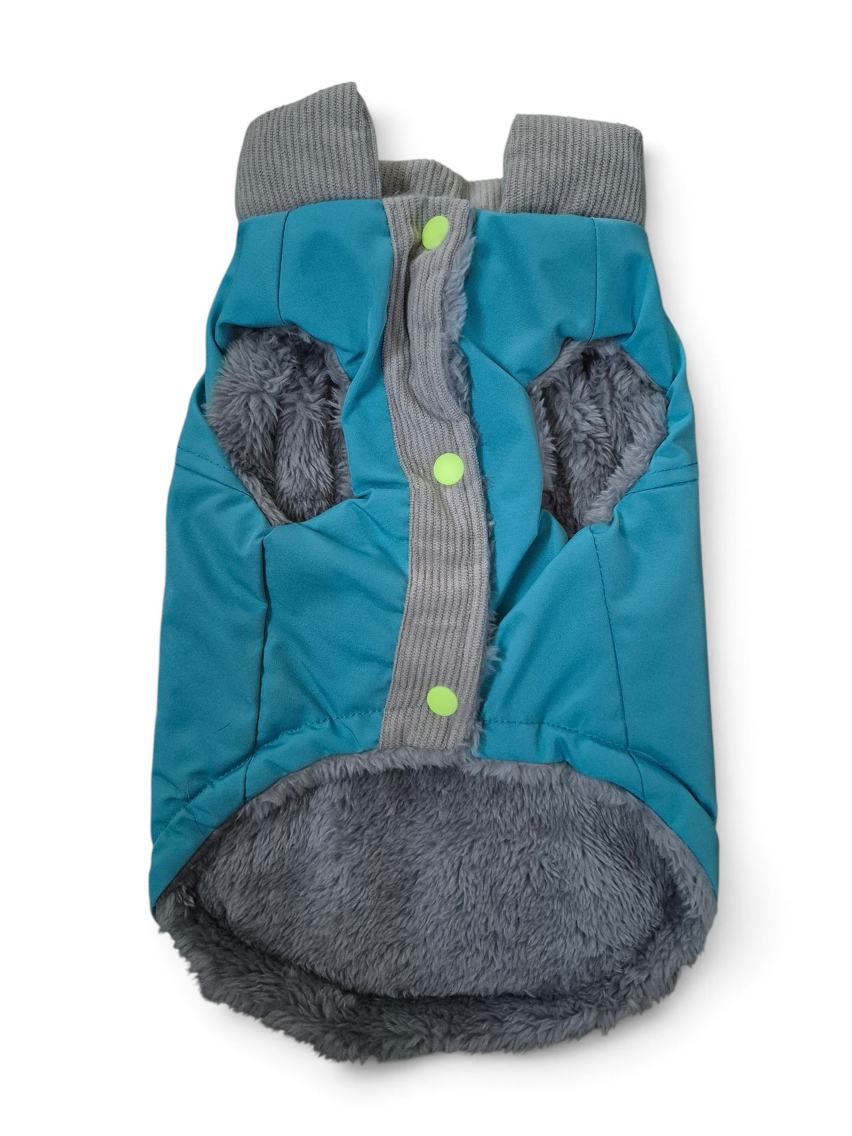 Hippe winterjas voor je teckel