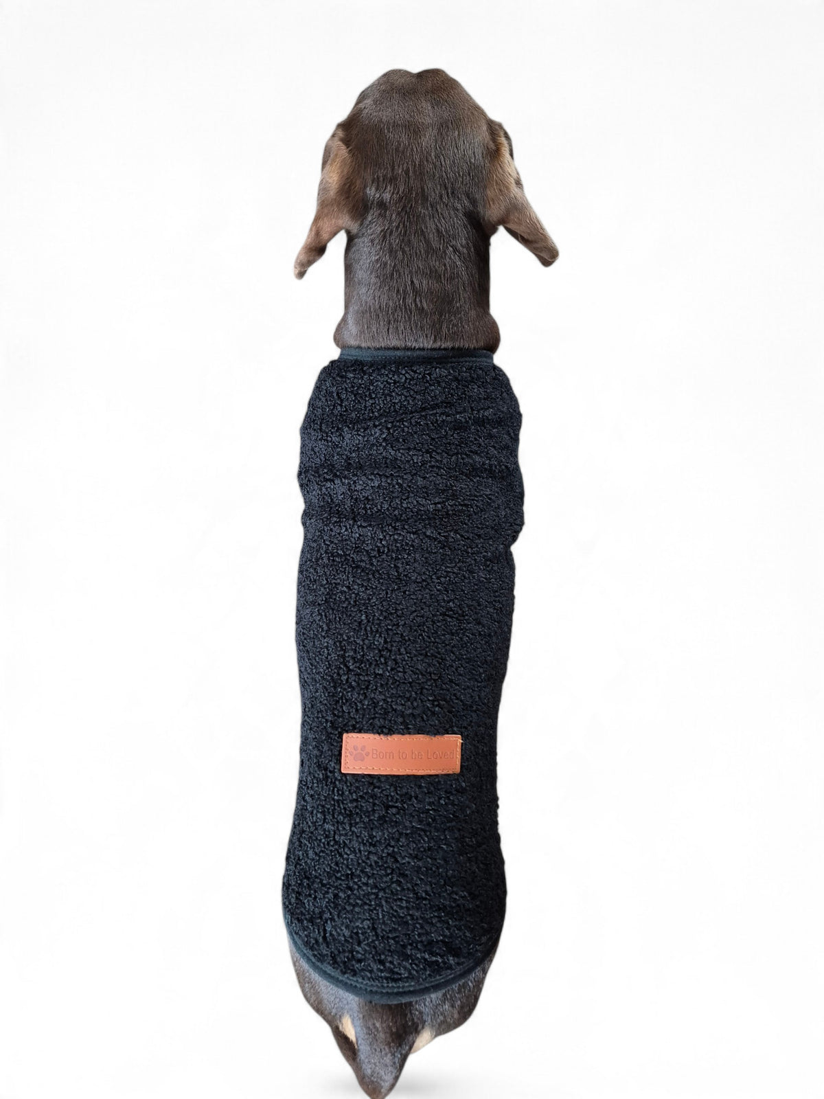 Sherpa sweater voor je kaninchen of dwergteckel