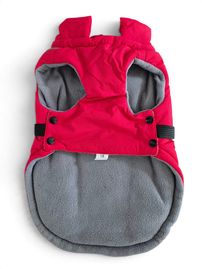 Lekkere winterjas voor je teckel