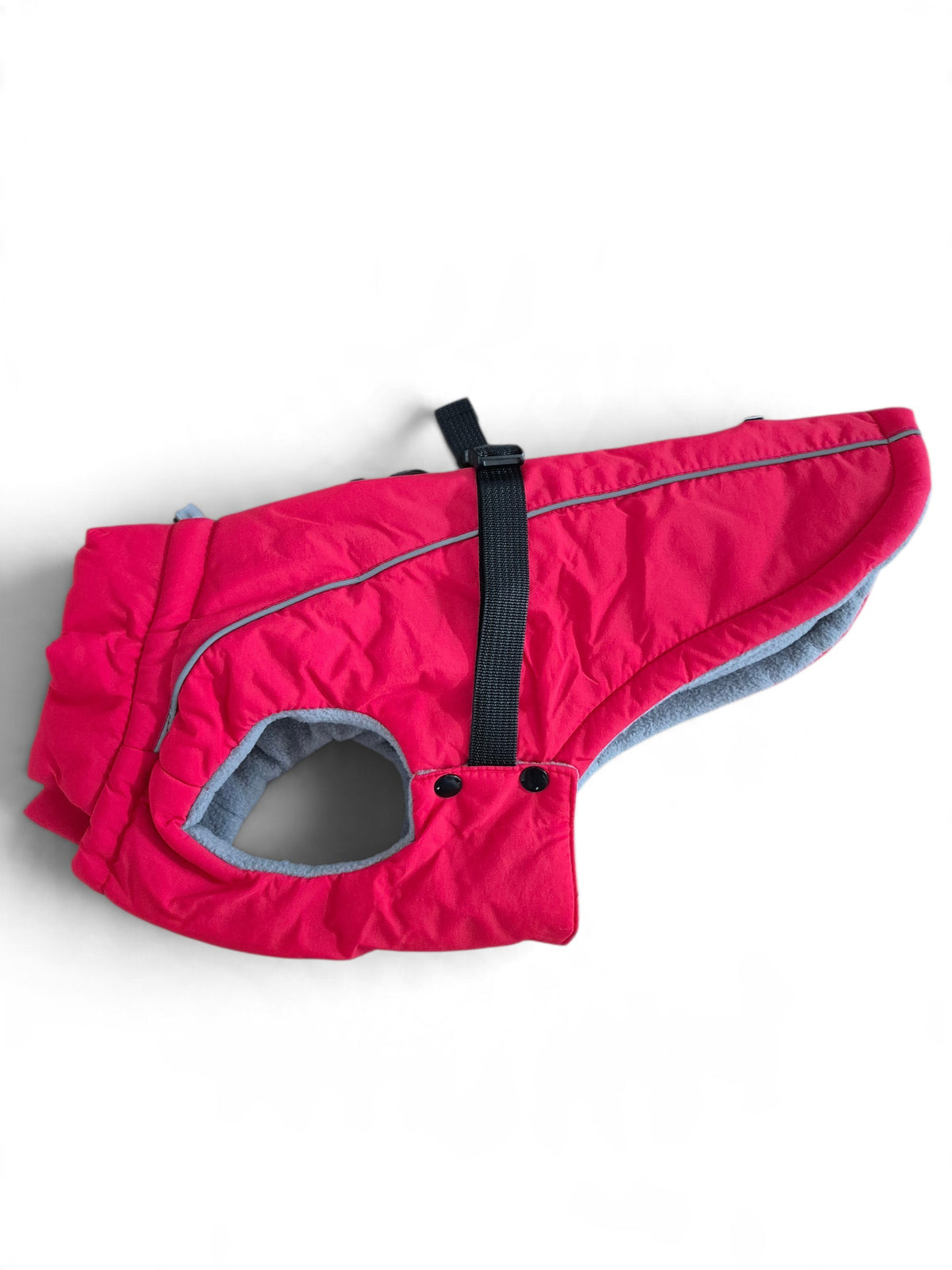 Lekkere winterjas voor je teckel