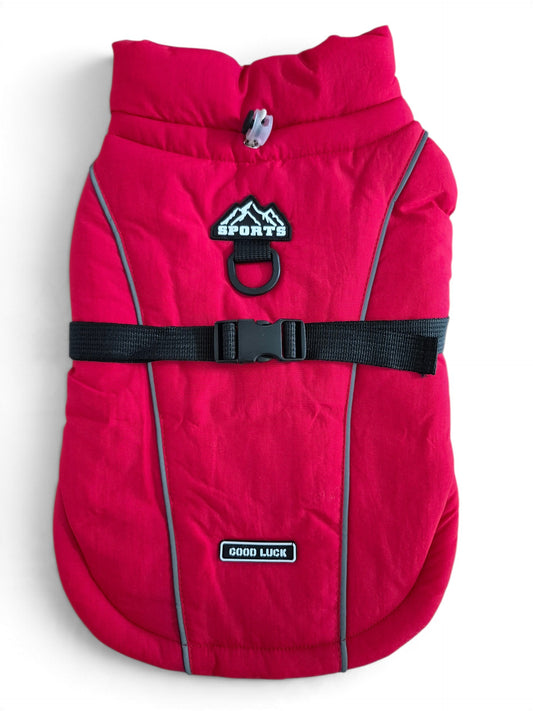 Lekkere winterjas voor je teckel