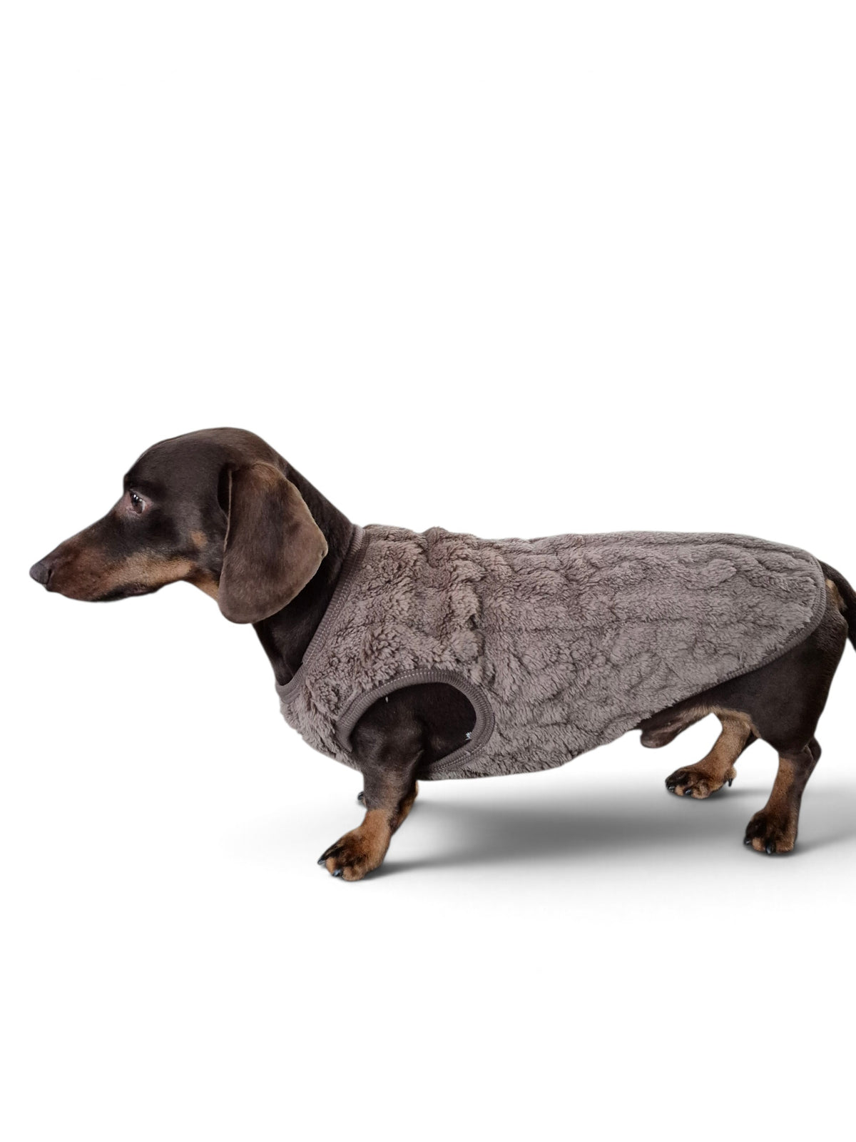 Trendy teddy truitje