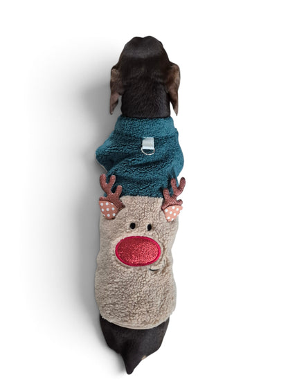 Teddyjack 'Rudolph' voor je teckel