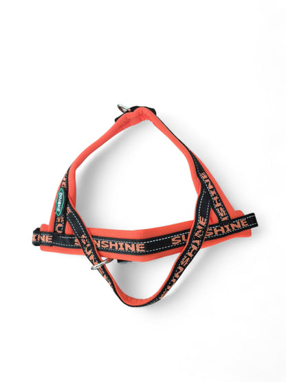 Borsttuig Sunshine summer edition, in verschillende kleuren
