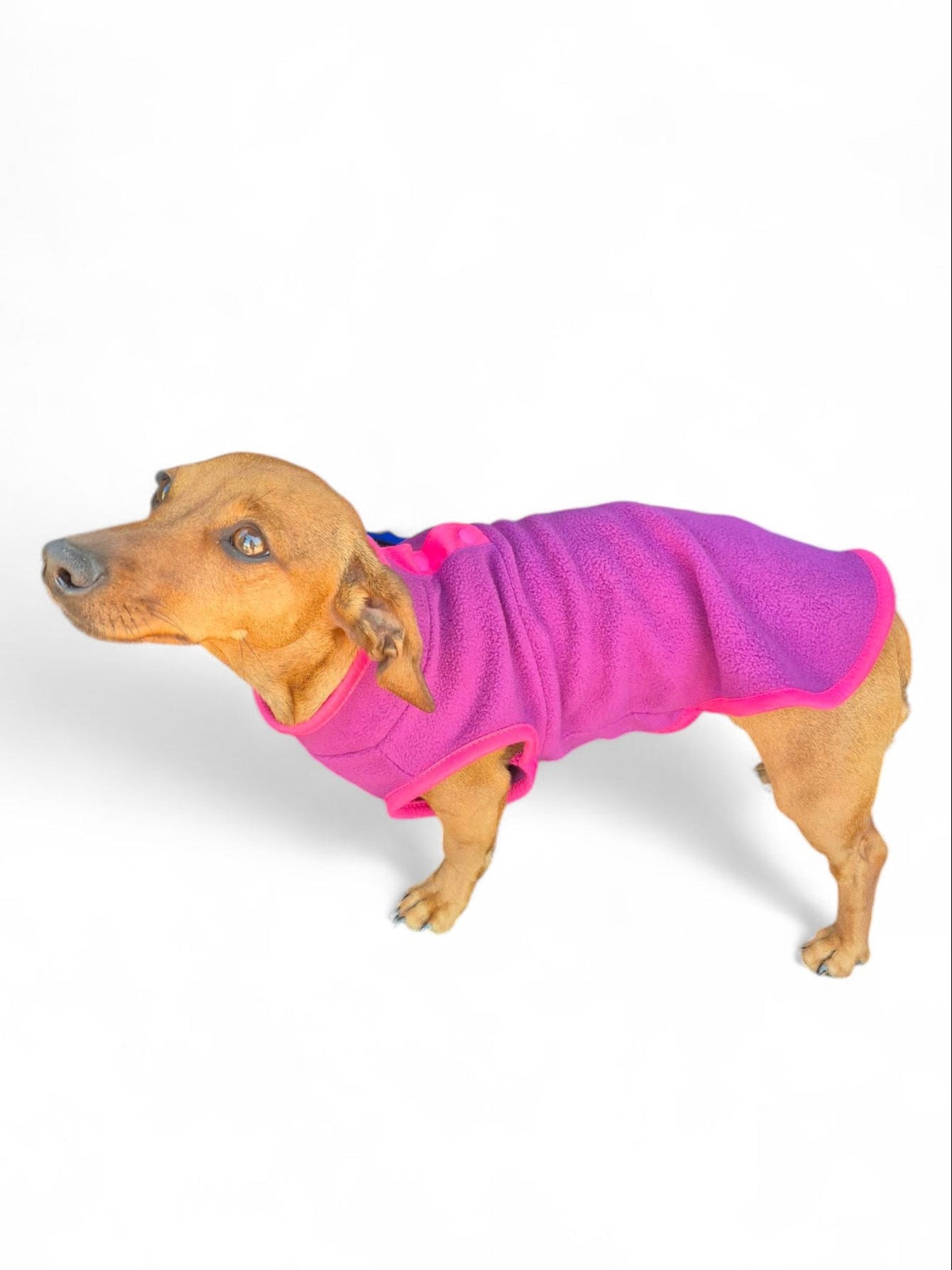 Teckel fleece sweater