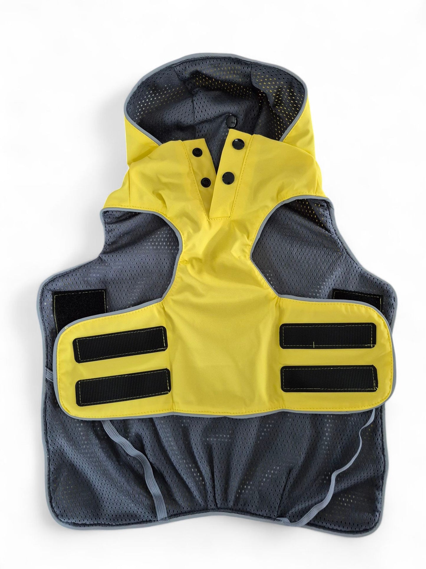 Teckel regenjas met capuchon