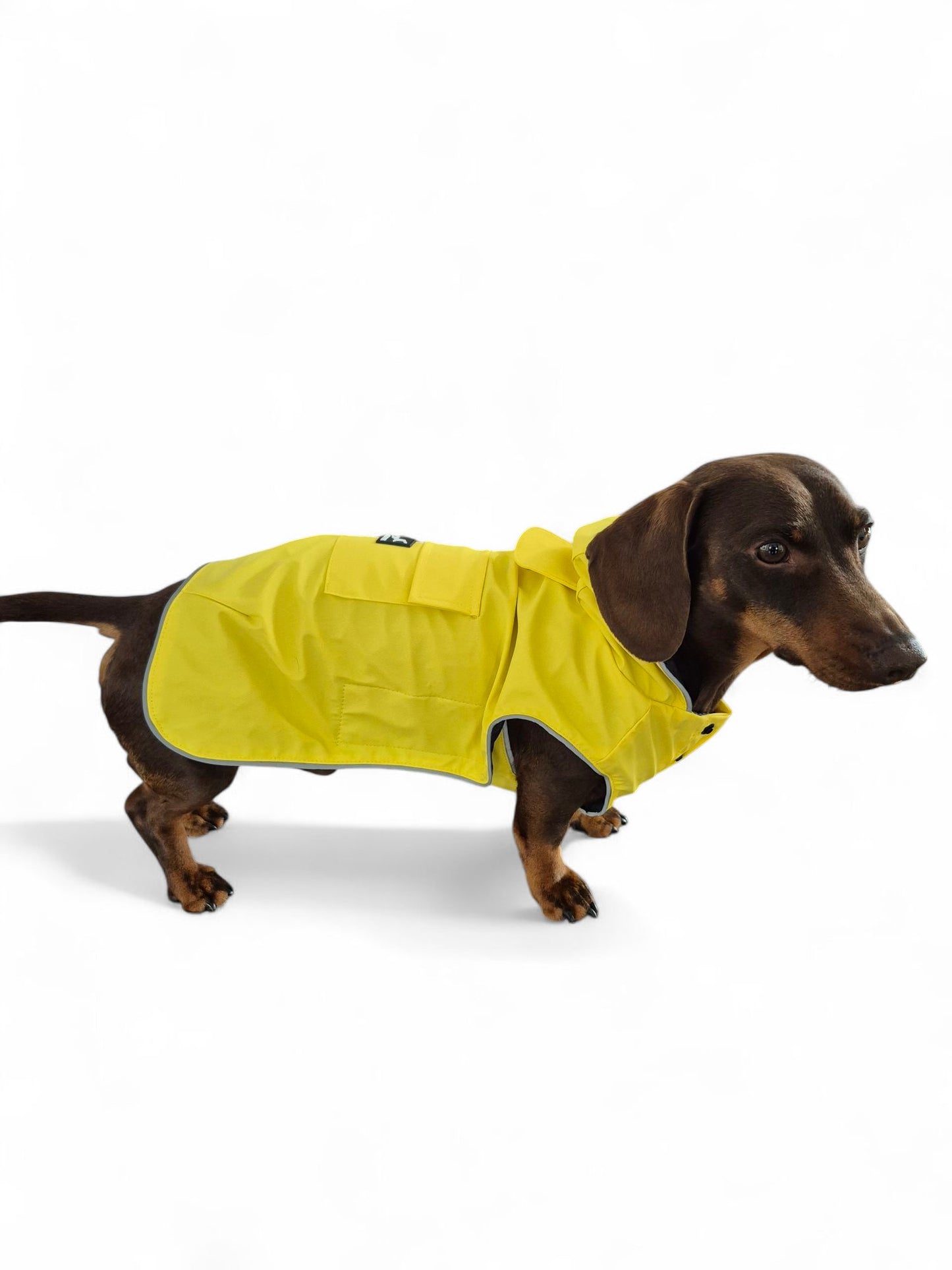 Teckel regenjas met capuchon