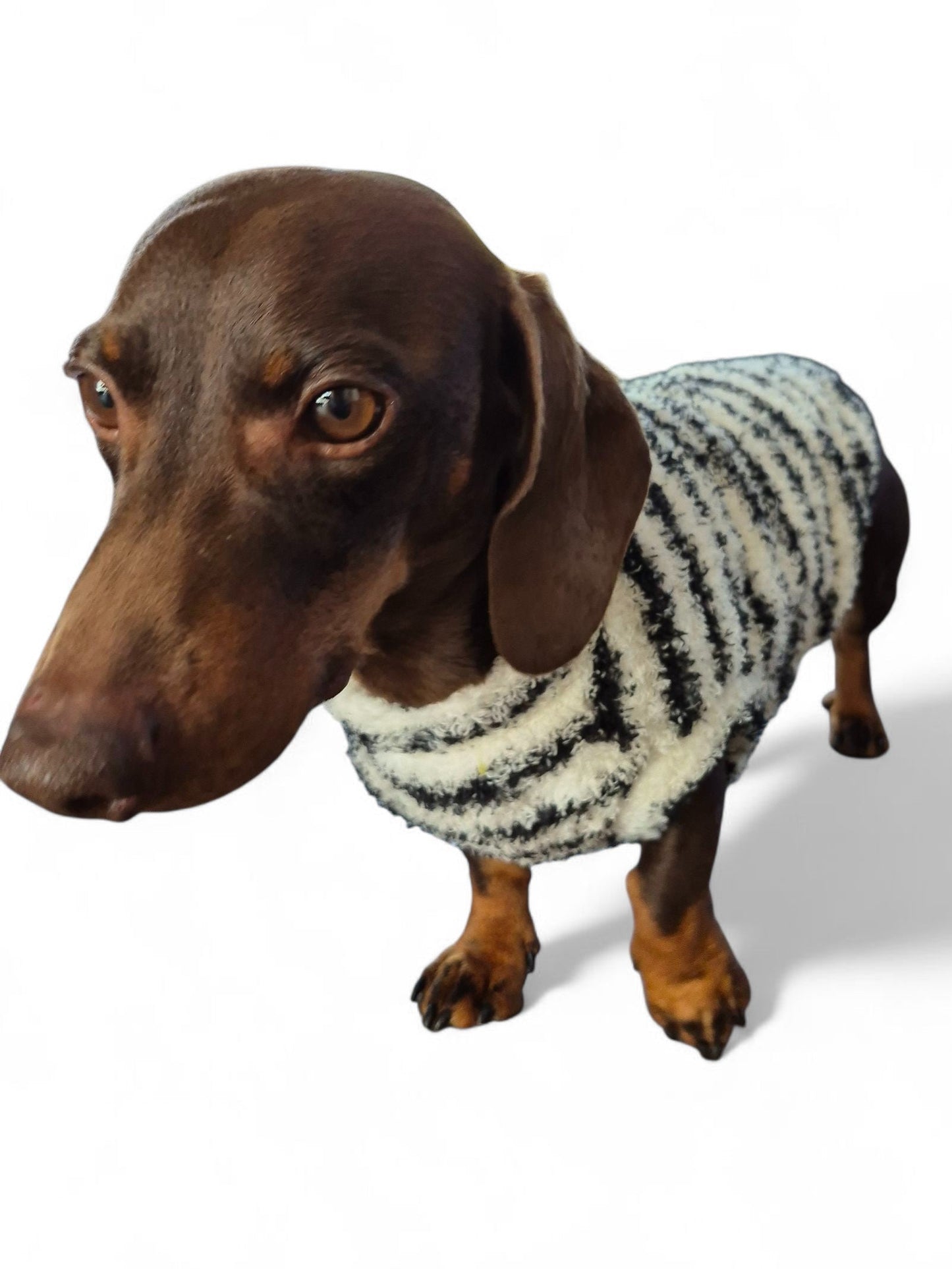 Gestreept truitje voor je teckel