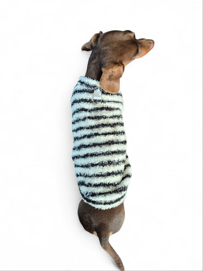 Gestreept truitje voor je teckel