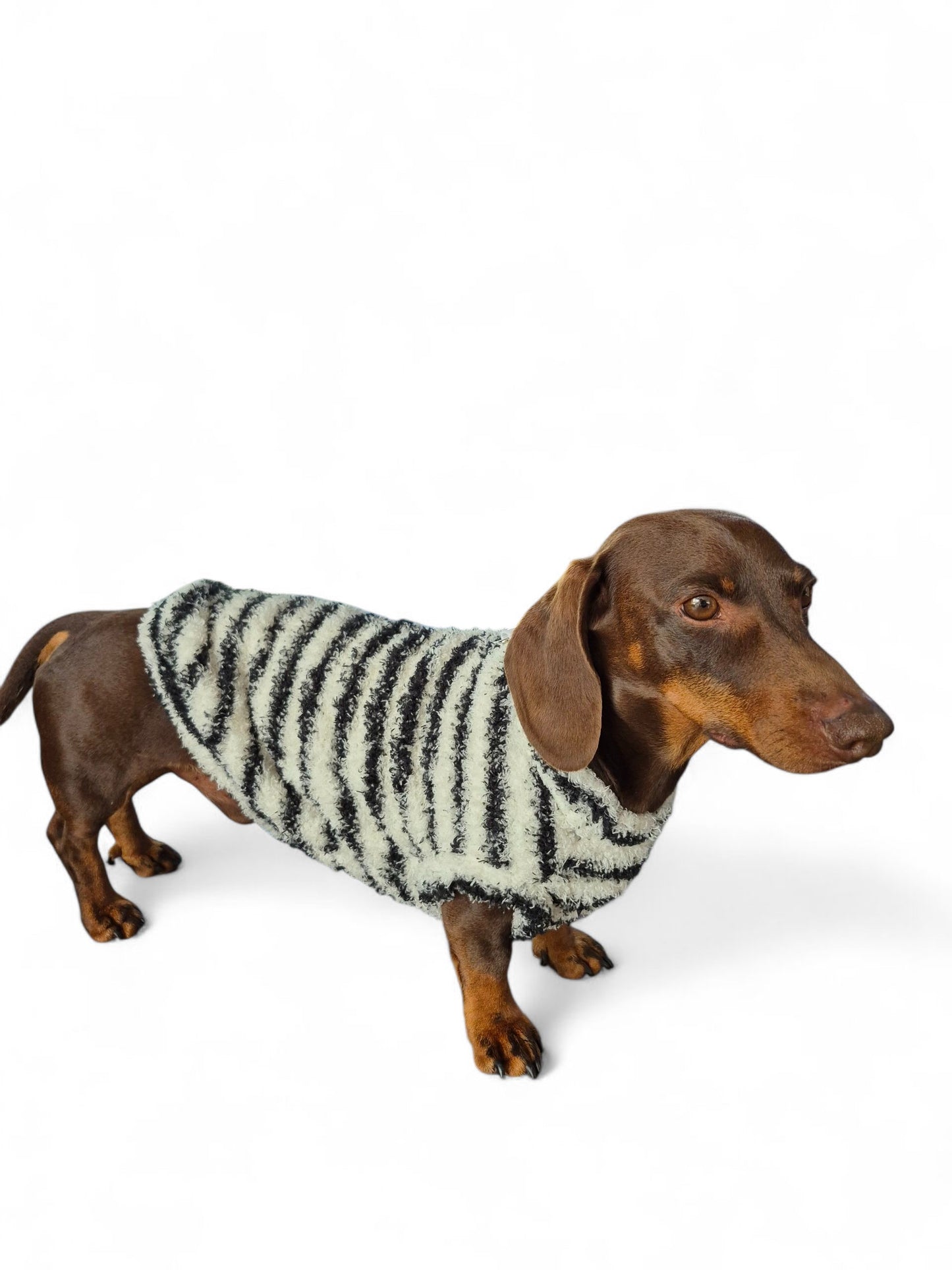 Gestreept truitje voor je teckel