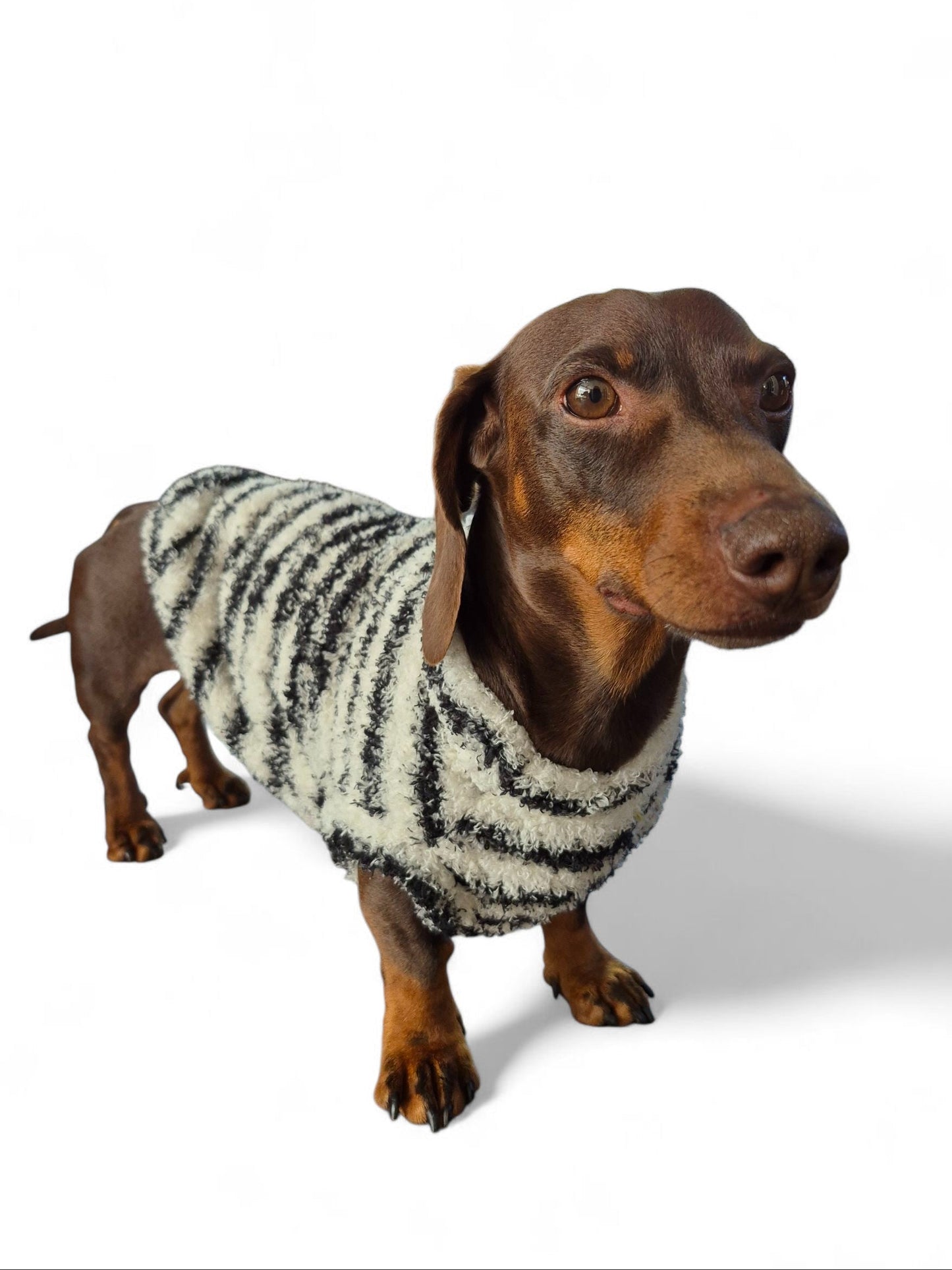 Gestreept truitje voor je teckel