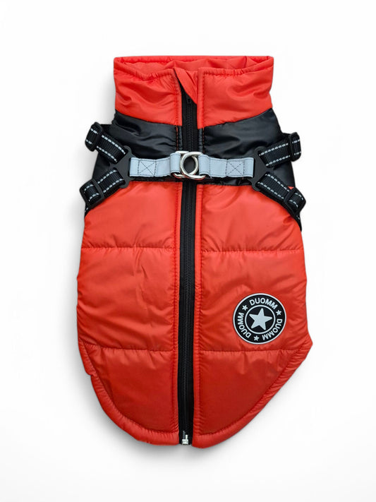 Ideale jas voor teckels die tussen twee formaten in zitten