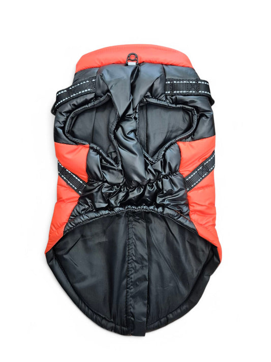 Ideale jas voor teckels die tussen twee formaten in zitten