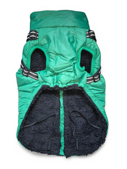 Winterjas voor de wat vollere teckel
