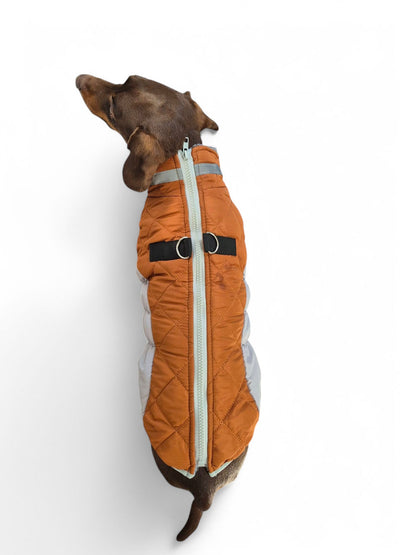 Comfortabele hondenjas voor de winter