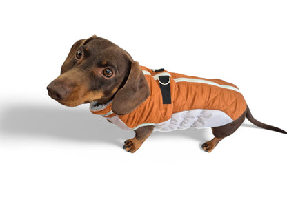 Comfortabele hondenjas voor de winter