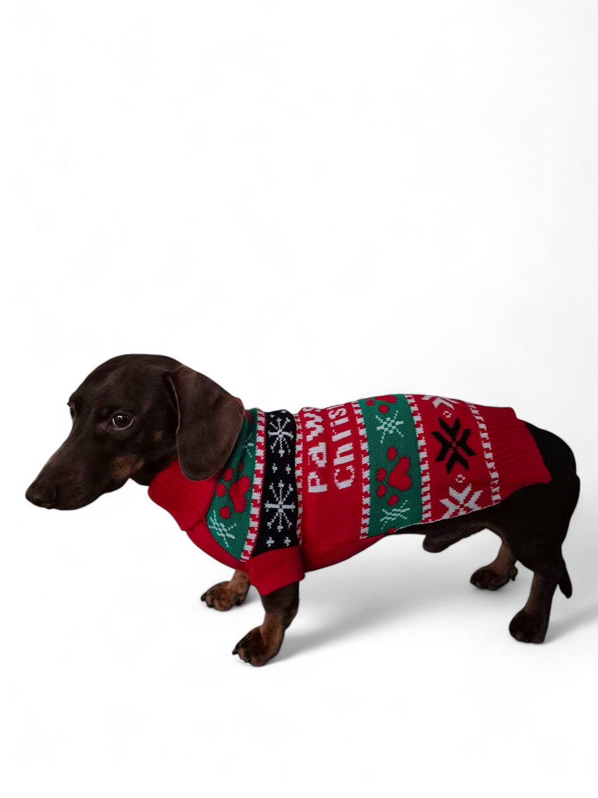 Honden kersttrui ´Pawsome Christmas´