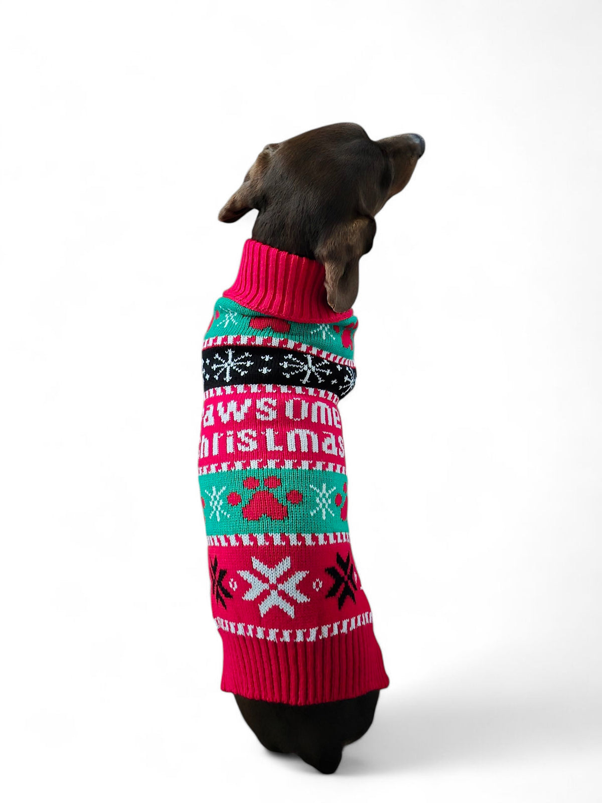 Honden kersttrui ´Pawsome Christmas´