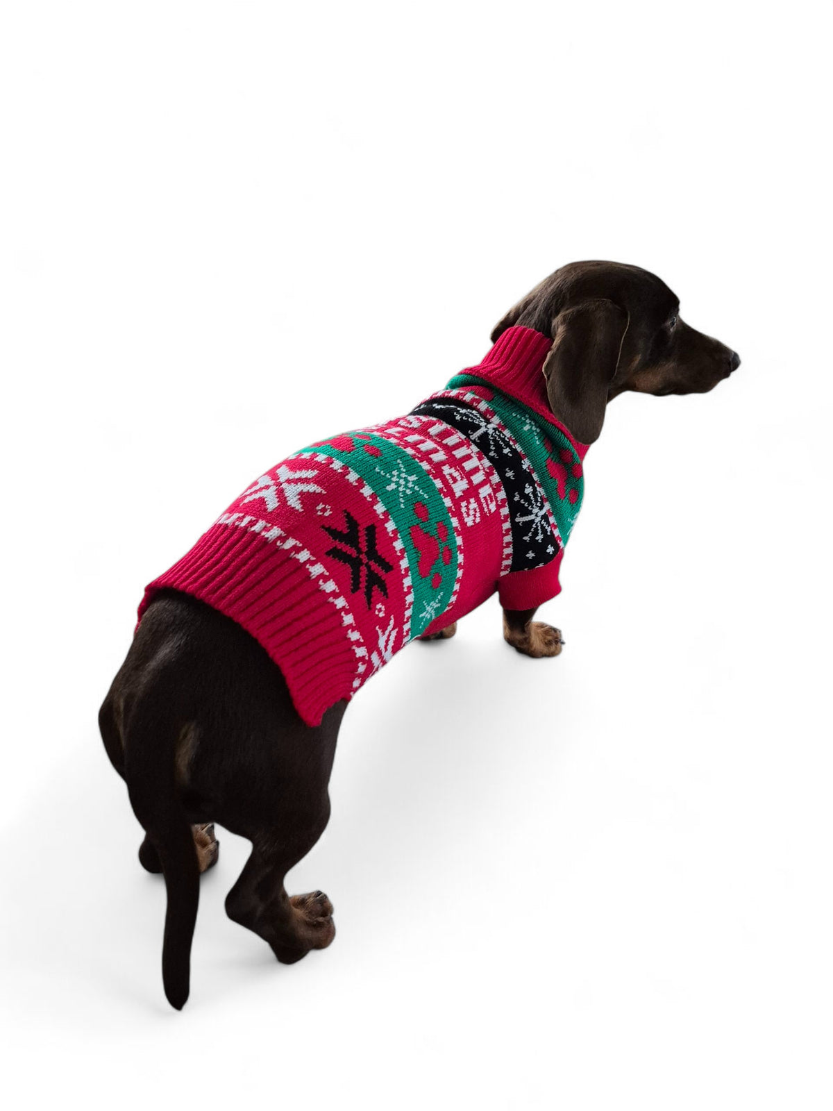 Honden kersttrui ´Pawsome Christmas´