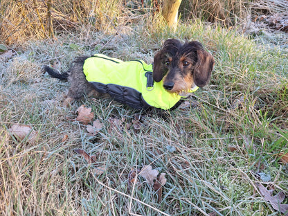 Heerlijke hondenjas in verschillende kleuren