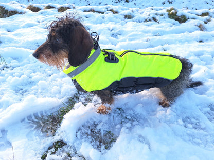 Heerlijke hondenjas in verschillende kleuren