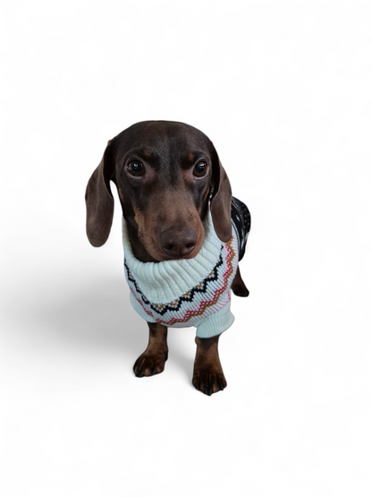 Gebreide trui voor de slanke teckel