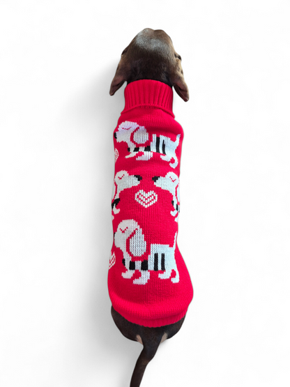 Gebreid hondentruitje met teckeltjes