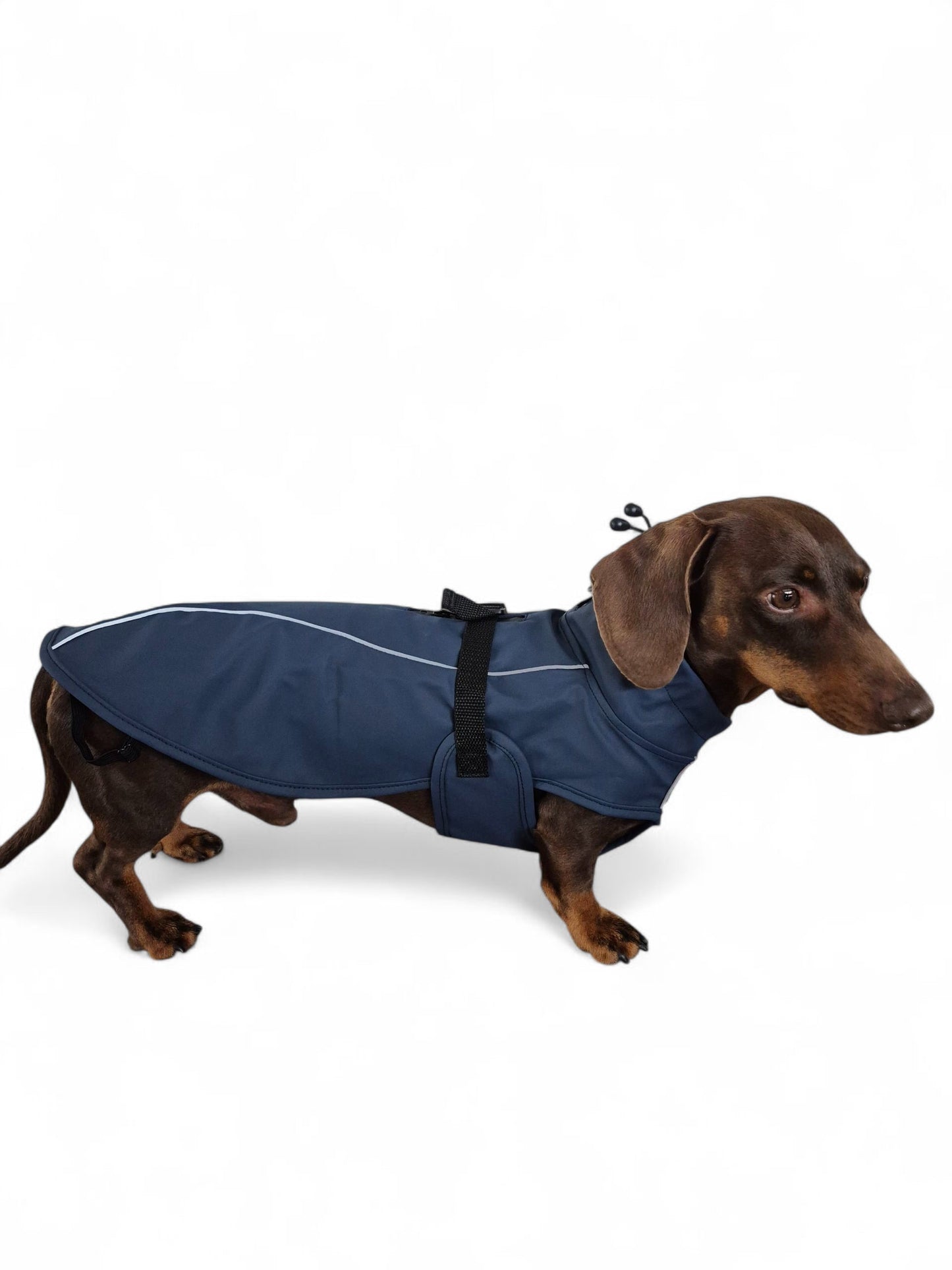 Teckel regenjas donkerblauw, zonder capuchon