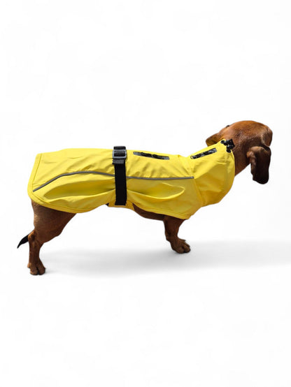 Teckel regenjas zonder capuchon