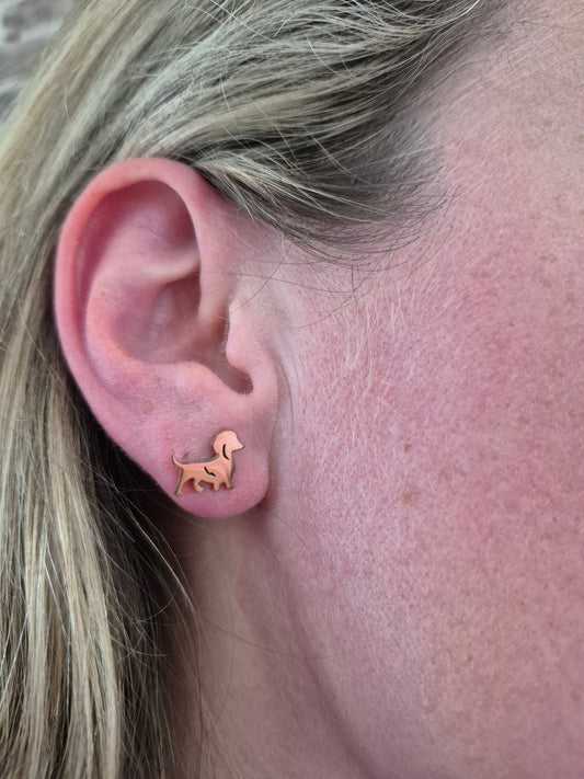 Oorstekers (rvs) met trotse teckel roségoud