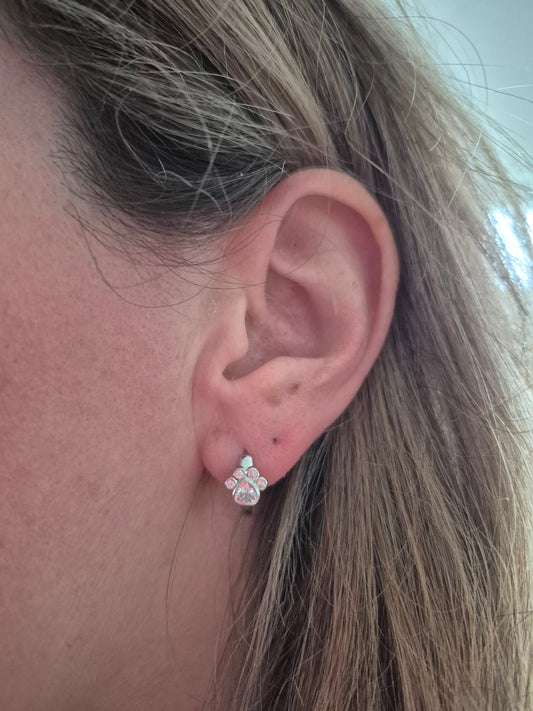 Sterling zilveren oorbellen, pootje met zirkonia