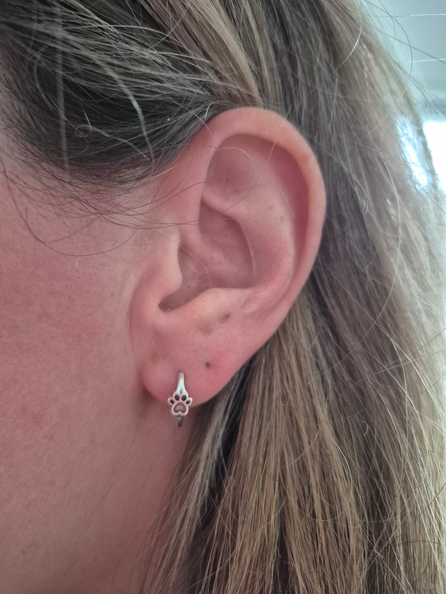 Sterling zilveren oorbellen met pootje