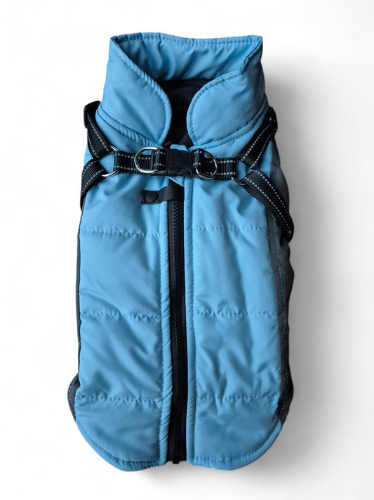 Stijlvolle winterjas voor je teckel