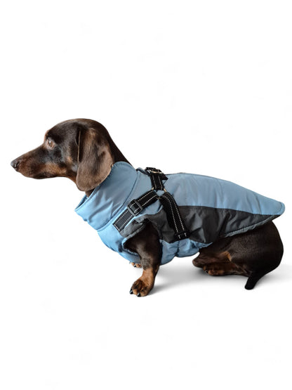 Stijlvolle winterjas voor je teckel