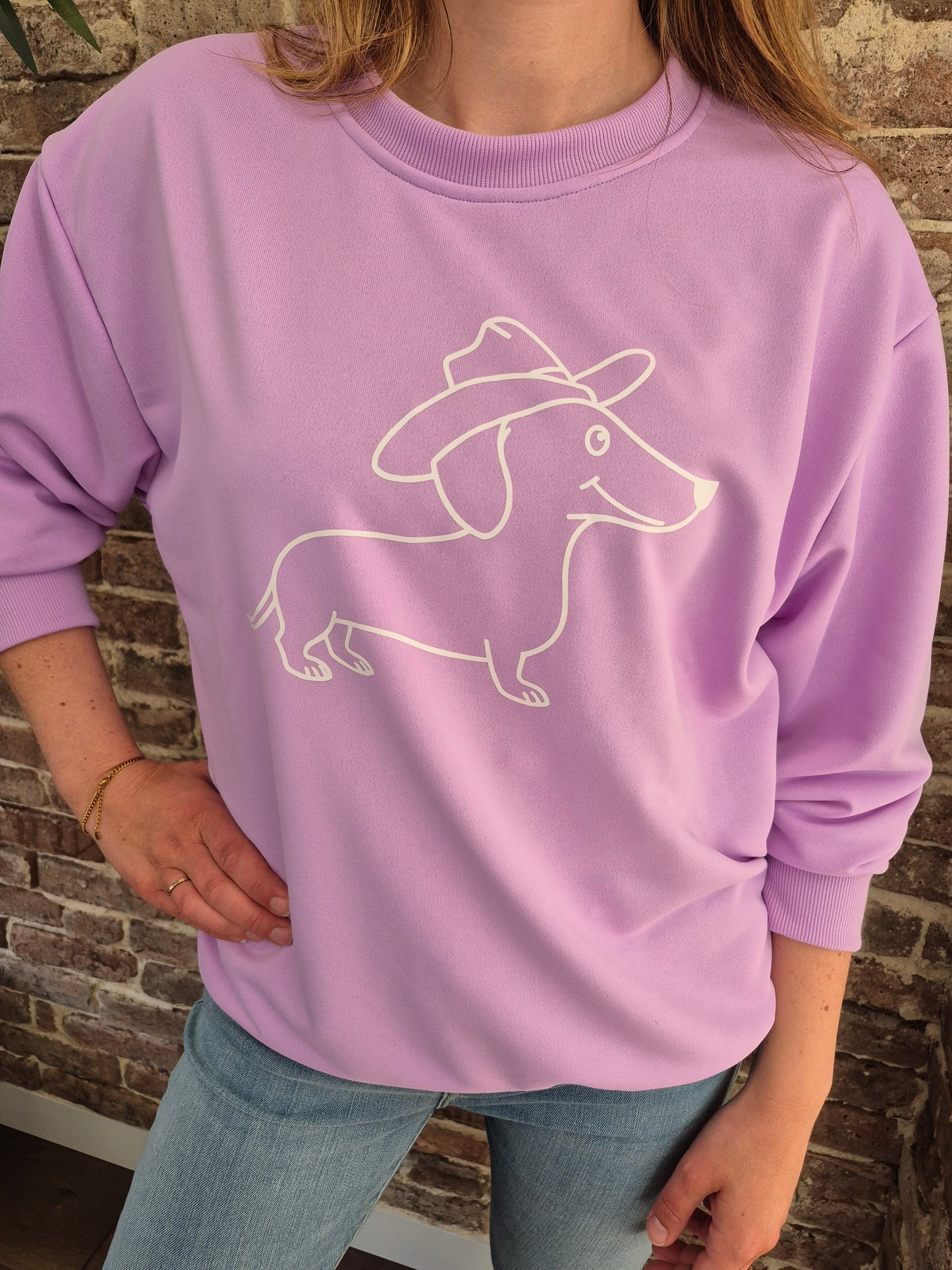 Sweater met cowboy teckel