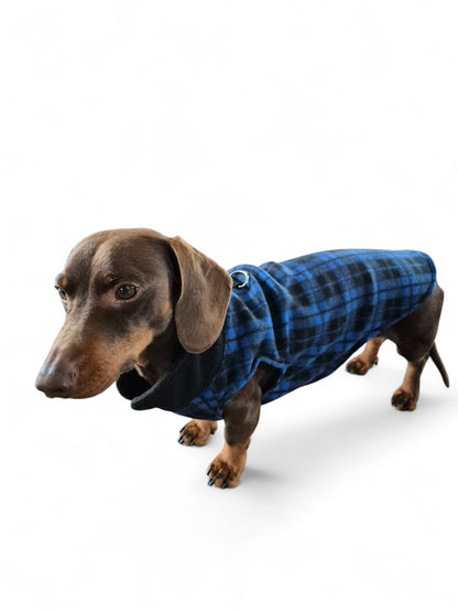 Comfortabel teckeltruitje blauwgeruit