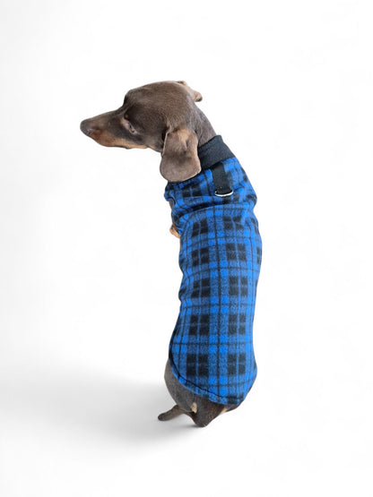 Comfortabel teckeltruitje blauwgeruit