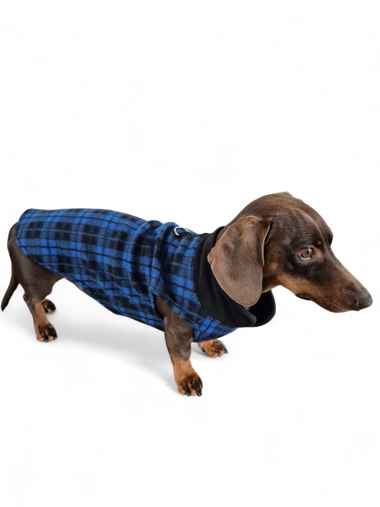 Comfortabel teckeltruitje blauwgeruit