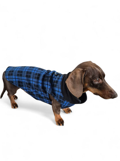 Comfortabel teckeltruitje blauwgeruit