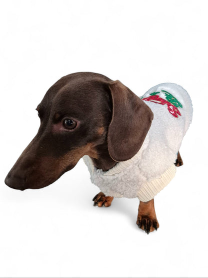 Kerstjasje voor je teckel ´Santa Baby´