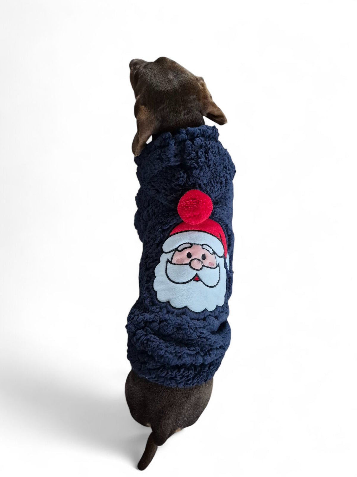 Kerstjasje voor je teckel met kerstman