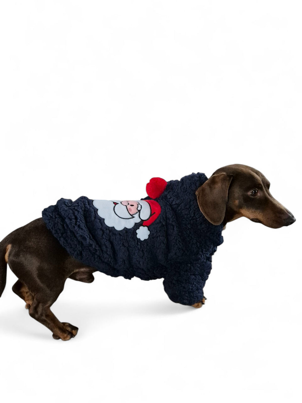 Kerstjasje voor je teckel met kerstman