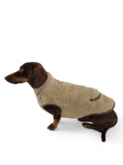 Heerlijk teddy truitje voor je teckel