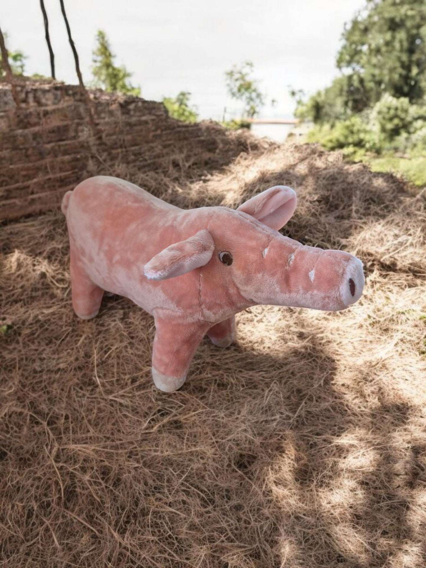 Varkentje zonder squeaker (piep)