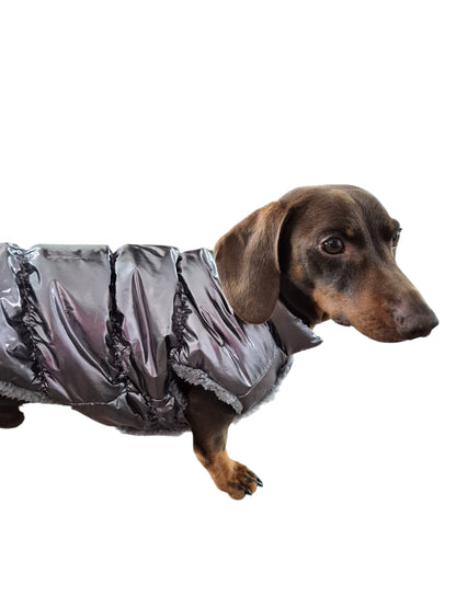 Flitsende winterjas voor je teckel