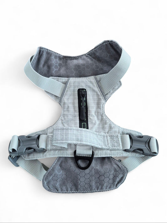 Comfortabel Y-tuig voor je teckel